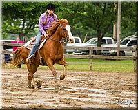 4H-FUN-060813-0363.jpg