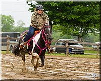 4H-FUN-060813-0374.jpg