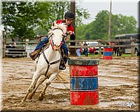 4H-FUN-060813-0386.jpg