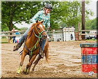 4H-FUN-060813-0430.jpg
