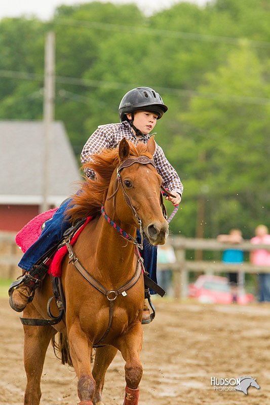 4H-FUN-060813-0675.jpg