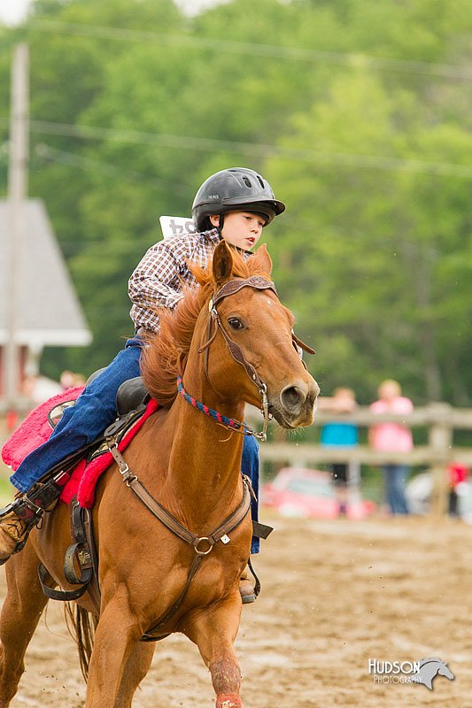 4H-FUN-060813-0676.jpg