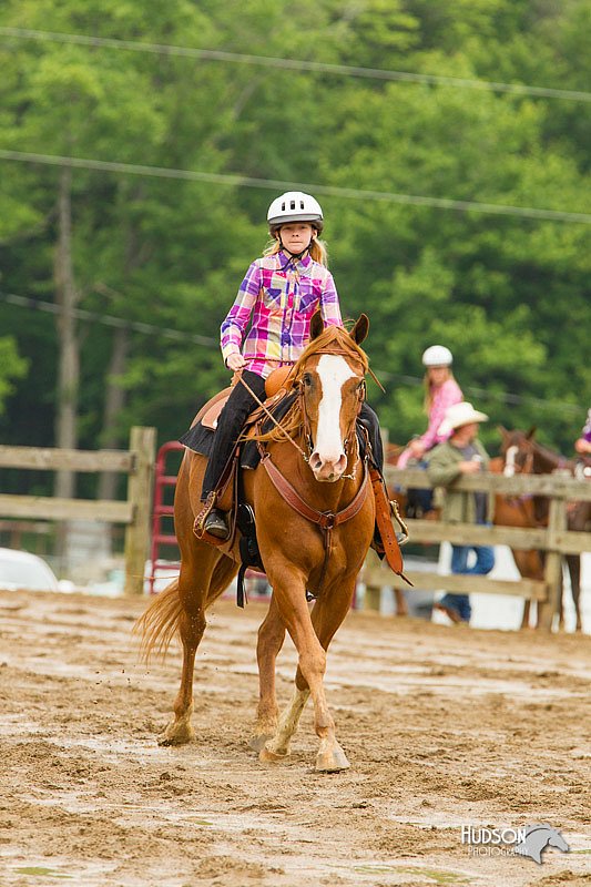 4H-FUN-060813-0682.jpg
