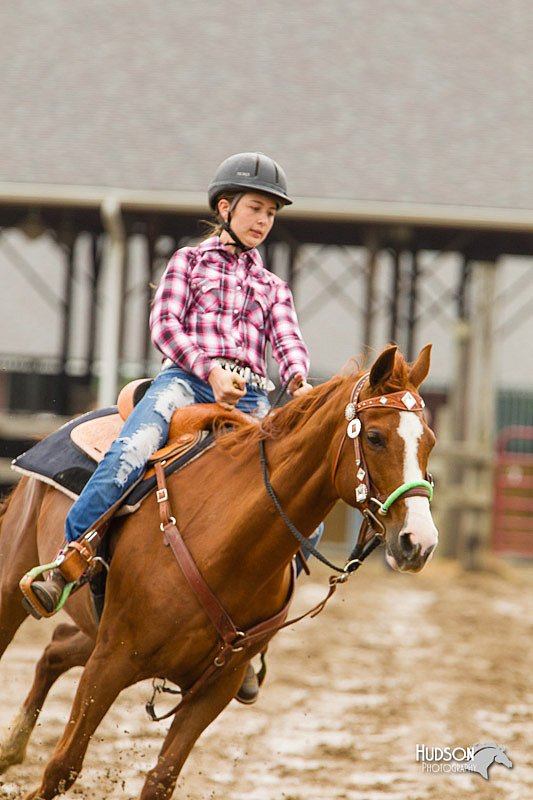 4H-FUN-060813-0709.jpg