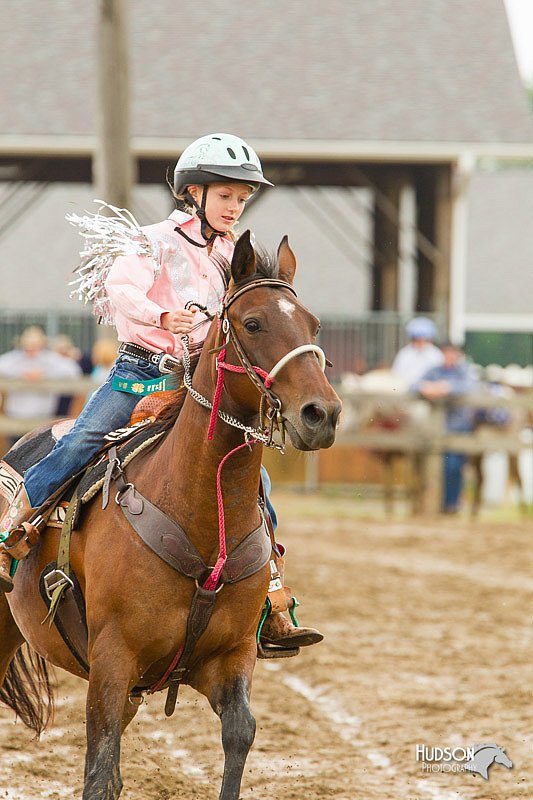 4H-FUN-060813-0737.jpg