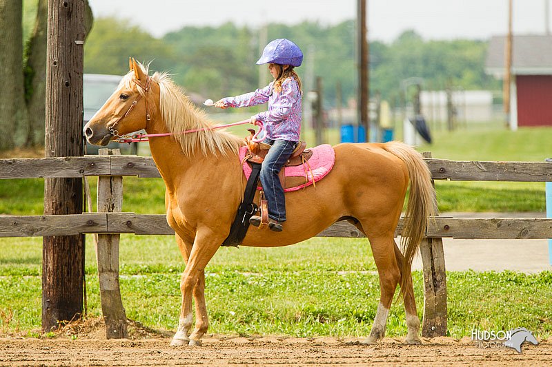4H-FUN-060813-1257.jpg