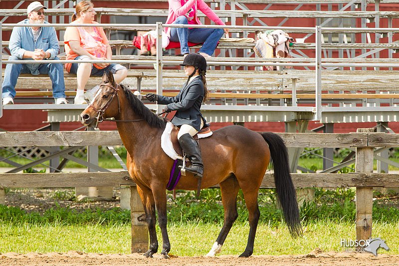 4H-FUN-060813-1258.jpg