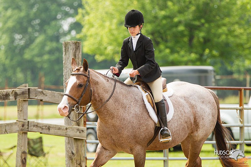 4H-FUN-060813-1268.jpg