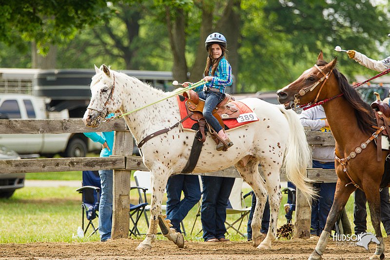 4H-FUN-060813-1269.jpg