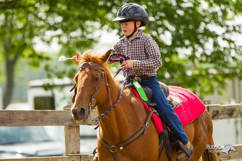 4H-FUN-060813-1279.jpg