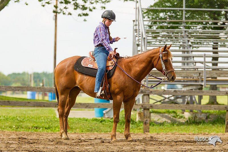 4H-FUN-060813-1243.jpg