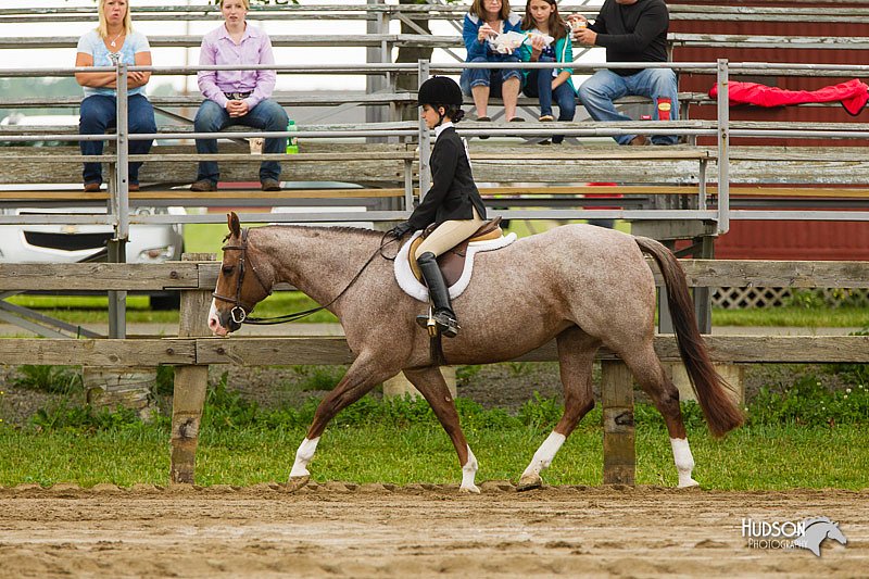 4H-FUN-060813-0650.jpg