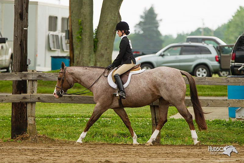 4H-FUN-060813-0651.jpg