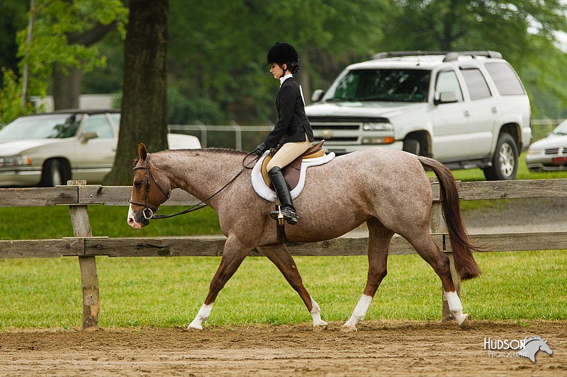 4H-FUN-060813-0652.jpg