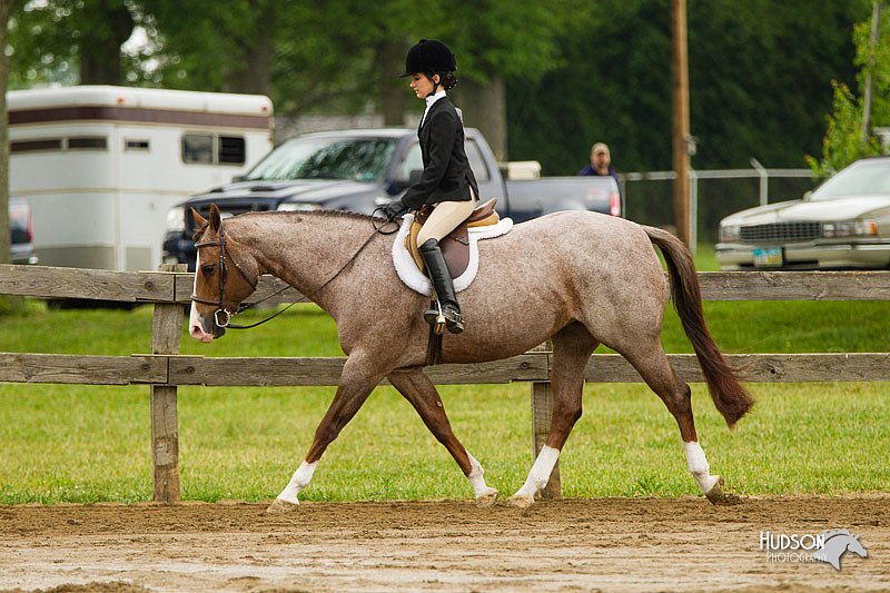 4H-FUN-060813-0653.jpg