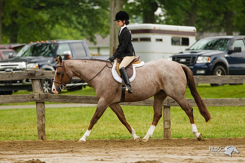 4H-FUN-060813-0654.jpg