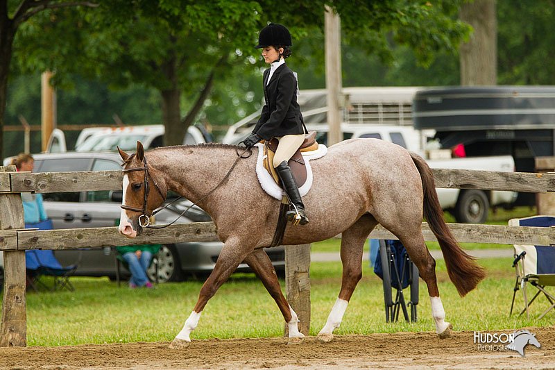 4H-FUN-060813-0655.jpg