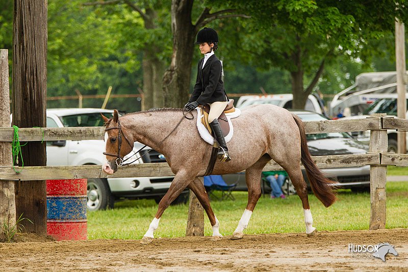 4H-FUN-060813-0656.jpg