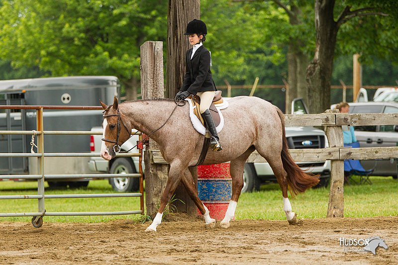 4H-FUN-060813-0657.jpg