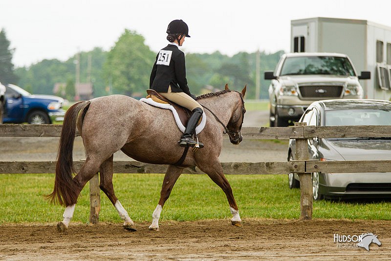 4H-FUN-060813-0664.jpg