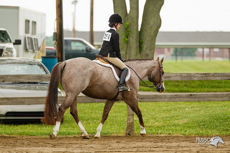 4H-FUN-060813-0665.jpg
