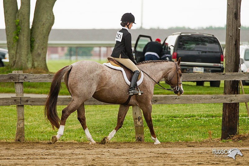 4H-FUN-060813-0666.jpg