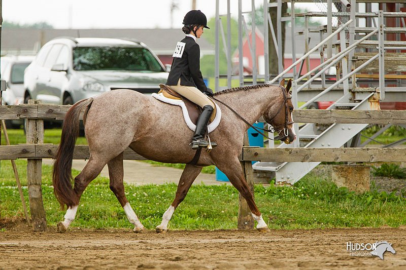 4H-FUN-060813-0667.jpg