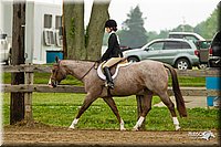 4H-FUN-060813-0651.jpg