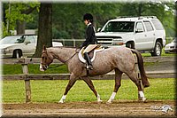4H-FUN-060813-0652.jpg
