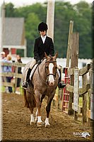 4H-FUN-060813-0662.jpg