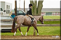 4H-FUN-060813-0665.jpg