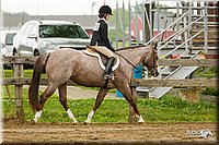 4H-FUN-060813-0667.jpg