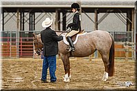 4H-FUN-060813-0668.jpg