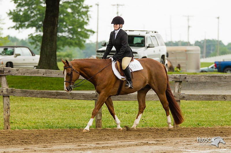 4H-FUN-060813-0633.jpg