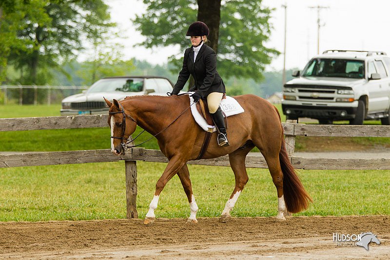 4H-FUN-060813-0634.jpg