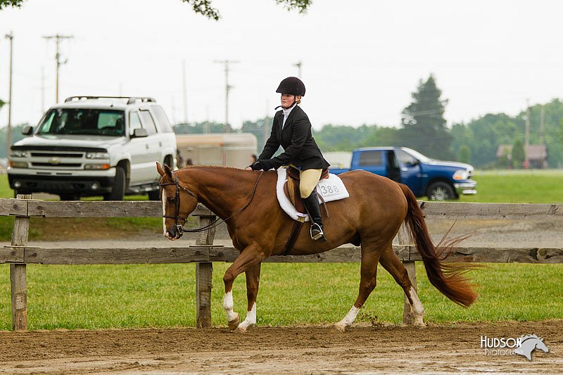 4H-FUN-060813-0641.jpg
