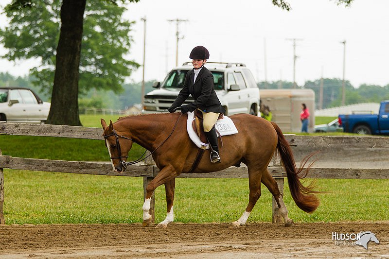 4H-FUN-060813-0642.jpg