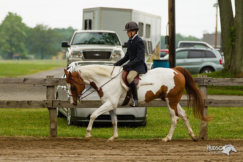 4H-FUN-060813-0644.jpg