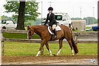 4H-FUN-060813-0633.jpg