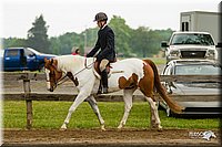 4H-FUN-060813-0636.jpg