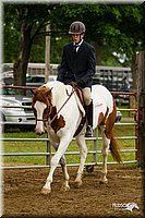 4H-FUN-060813-0640.jpg