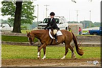 4H-FUN-060813-0642.jpg