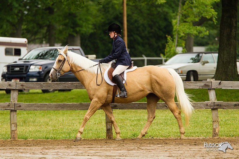 4H-FUN-060813-0607.jpg