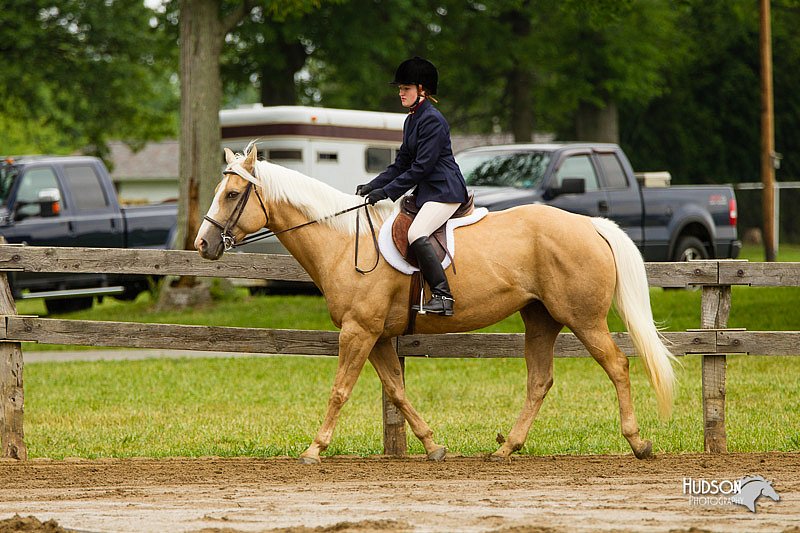 4H-FUN-060813-0608.jpg