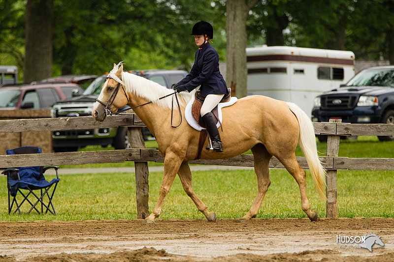 4H-FUN-060813-0609.jpg