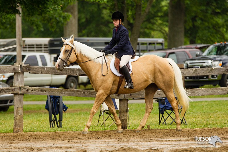 4H-FUN-060813-0610.jpg
