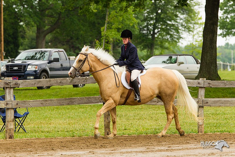 4H-FUN-060813-0619.jpg