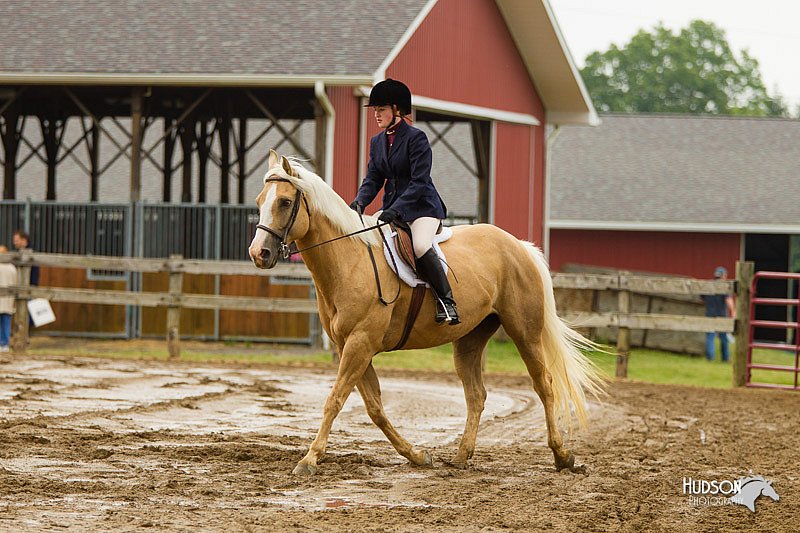 4H-FUN-060813-0624.jpg