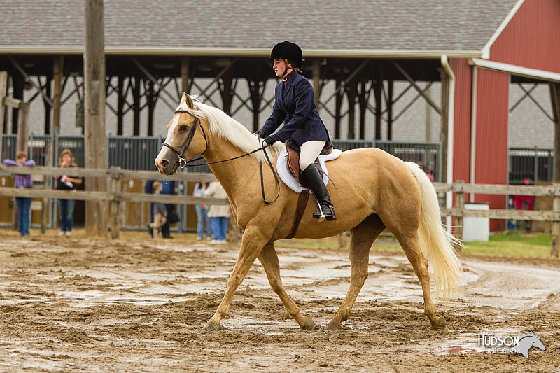 4H-FUN-060813-0625.jpg