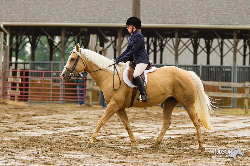 4H-FUN-060813-0626.jpg